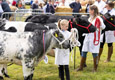 Malton Show 2024